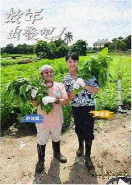 长夜将尽封面